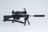 Rifle of the Month (ROTM)