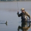 meflyfish